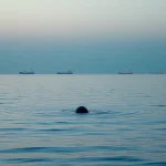 Imagen relacionada con minas navales Irán Ormuz